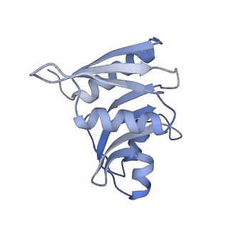 4350_6g51_W_v1-4
Cryo-EM structure of a late human pre-40S ribosomal subunit - State D