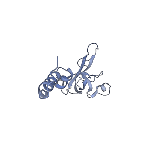 4350_6g51_X_v1-4
Cryo-EM structure of a late human pre-40S ribosomal subunit - State D