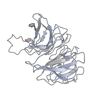4350_6g51_g_v1-4
Cryo-EM structure of a late human pre-40S ribosomal subunit - State D