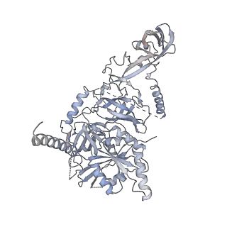 4350_6g51_u_v1-4
Cryo-EM structure of a late human pre-40S ribosomal subunit - State D