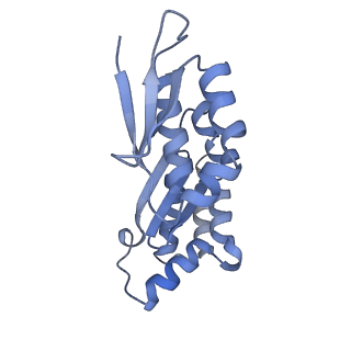 4350_6g51_x_v1-4
Cryo-EM structure of a late human pre-40S ribosomal subunit - State D