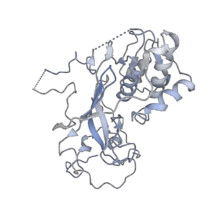 4350_6g51_y_v1-4
Cryo-EM structure of a late human pre-40S ribosomal subunit - State D
