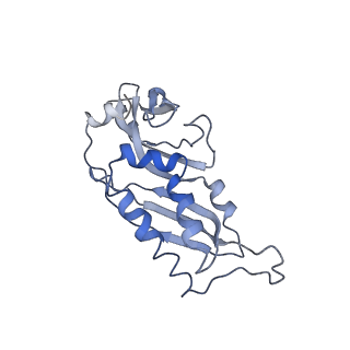 4352_6g5h_B_v1-3
Cryo-EM structure of a late human pre-40S ribosomal subunit - Mature