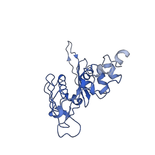 4352_6g5h_C_v1-3
Cryo-EM structure of a late human pre-40S ribosomal subunit - Mature