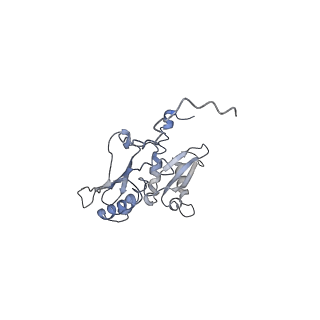 4352_6g5h_D_v1-3
Cryo-EM structure of a late human pre-40S ribosomal subunit - Mature