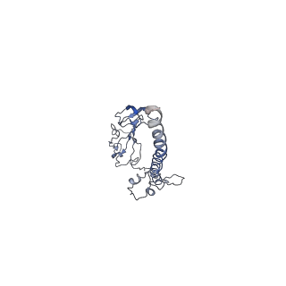 4352_6g5h_G_v1-3
Cryo-EM structure of a late human pre-40S ribosomal subunit - Mature