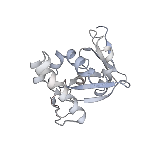 4352_6g5h_H_v1-3
Cryo-EM structure of a late human pre-40S ribosomal subunit - Mature