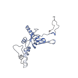 4352_6g5h_I_v1-3
Cryo-EM structure of a late human pre-40S ribosomal subunit - Mature