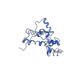 4352_6g5h_J_v1-3
Cryo-EM structure of a late human pre-40S ribosomal subunit - Mature