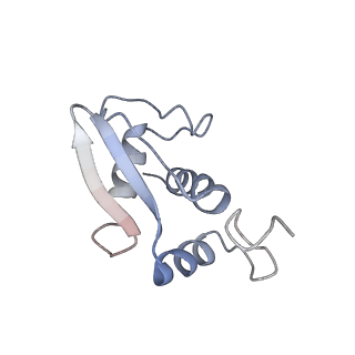 4352_6g5h_K_v1-3
Cryo-EM structure of a late human pre-40S ribosomal subunit - Mature