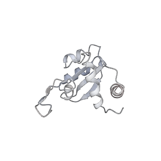4352_6g5h_M_v1-3
Cryo-EM structure of a late human pre-40S ribosomal subunit - Mature