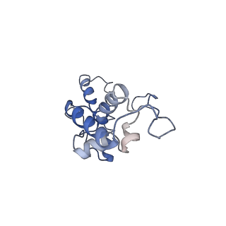 4352_6g5h_N_v1-3
Cryo-EM structure of a late human pre-40S ribosomal subunit - Mature