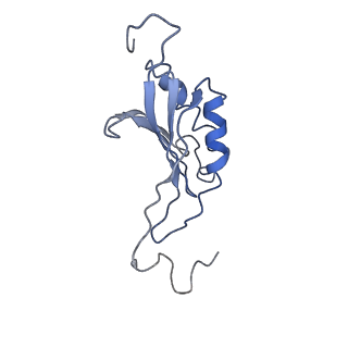 4352_6g5h_O_v1-3
Cryo-EM structure of a late human pre-40S ribosomal subunit - Mature