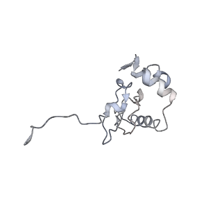 4352_6g5h_P_v1-3
Cryo-EM structure of a late human pre-40S ribosomal subunit - Mature