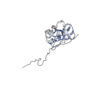 4352_6g5h_Q_v1-3
Cryo-EM structure of a late human pre-40S ribosomal subunit - Mature