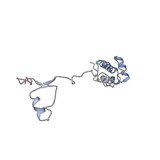 4352_6g5h_R_v1-3
Cryo-EM structure of a late human pre-40S ribosomal subunit - Mature