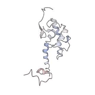 4352_6g5h_S_v1-3
Cryo-EM structure of a late human pre-40S ribosomal subunit - Mature