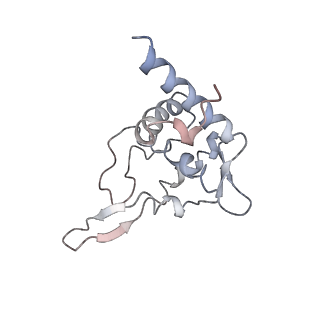 4352_6g5h_T_v1-3
Cryo-EM structure of a late human pre-40S ribosomal subunit - Mature