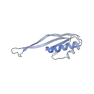 4352_6g5h_U_v1-3
Cryo-EM structure of a late human pre-40S ribosomal subunit - Mature