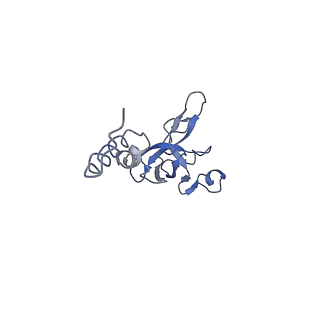 4352_6g5h_X_v1-3
Cryo-EM structure of a late human pre-40S ribosomal subunit - Mature