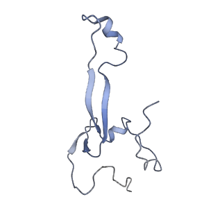 4352_6g5h_a_v1-3
Cryo-EM structure of a late human pre-40S ribosomal subunit - Mature