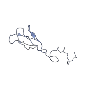 4352_6g5h_b_v1-3
Cryo-EM structure of a late human pre-40S ribosomal subunit - Mature