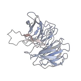 4352_6g5h_g_v1-3
Cryo-EM structure of a late human pre-40S ribosomal subunit - Mature