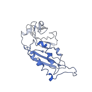 4353_6g5i_B_v1-3
Cryo-EM structure of a late human pre-40S ribosomal subunit - State R