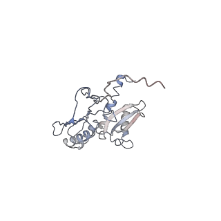 4353_6g5i_D_v1-3
Cryo-EM structure of a late human pre-40S ribosomal subunit - State R