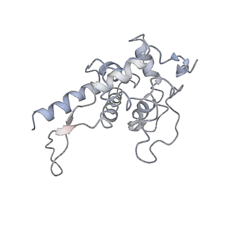 4353_6g5i_F_v1-3
Cryo-EM structure of a late human pre-40S ribosomal subunit - State R