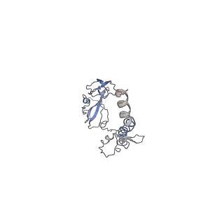 4353_6g5i_G_v1-3
Cryo-EM structure of a late human pre-40S ribosomal subunit - State R