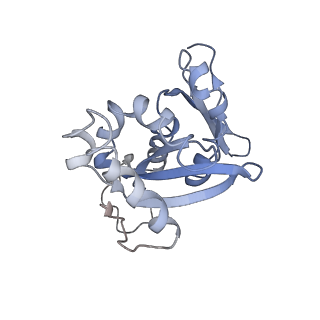 4353_6g5i_H_v1-3
Cryo-EM structure of a late human pre-40S ribosomal subunit - State R