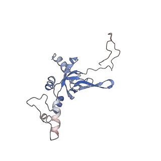 4353_6g5i_I_v1-3
Cryo-EM structure of a late human pre-40S ribosomal subunit - State R