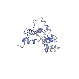 4353_6g5i_J_v1-3
Cryo-EM structure of a late human pre-40S ribosomal subunit - State R