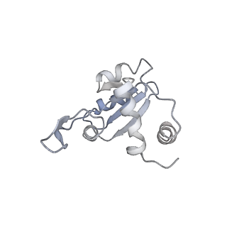 4353_6g5i_M_v1-3
Cryo-EM structure of a late human pre-40S ribosomal subunit - State R