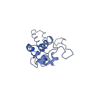 4353_6g5i_N_v1-3
Cryo-EM structure of a late human pre-40S ribosomal subunit - State R