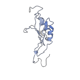 4353_6g5i_O_v1-3
Cryo-EM structure of a late human pre-40S ribosomal subunit - State R