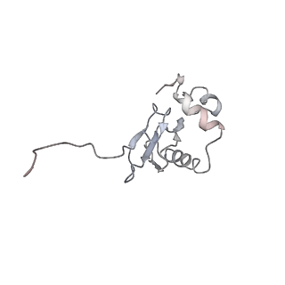 4353_6g5i_P_v1-3
Cryo-EM structure of a late human pre-40S ribosomal subunit - State R