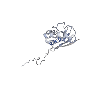 4353_6g5i_Q_v1-3
Cryo-EM structure of a late human pre-40S ribosomal subunit - State R