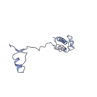 4353_6g5i_R_v1-3
Cryo-EM structure of a late human pre-40S ribosomal subunit - State R