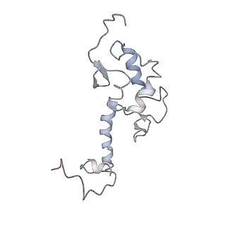 4353_6g5i_S_v1-3
Cryo-EM structure of a late human pre-40S ribosomal subunit - State R