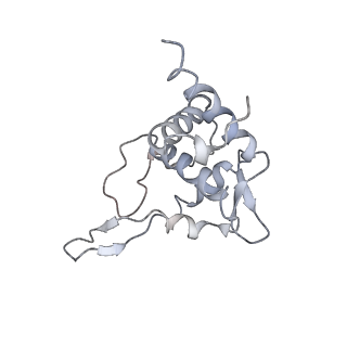 4353_6g5i_T_v1-3
Cryo-EM structure of a late human pre-40S ribosomal subunit - State R