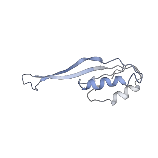 4353_6g5i_U_v1-3
Cryo-EM structure of a late human pre-40S ribosomal subunit - State R