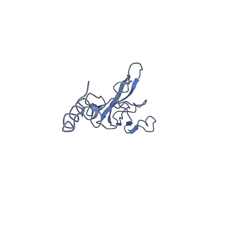 4353_6g5i_X_v1-3
Cryo-EM structure of a late human pre-40S ribosomal subunit - State R