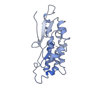 4353_6g5i_x_v1-3
Cryo-EM structure of a late human pre-40S ribosomal subunit - State R