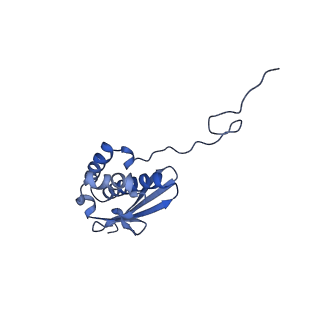 29759_8g60_SQ_v1-1
mRNA decoding in human is kinetically and structurally distinct from bacteria (CR state)