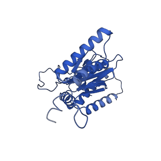 29765_8g6f_A_v1-1
Structure of the Plasmodium falciparum 20S proteasome beta-6 A117D mutant complexed with inhibitor WLW-vs