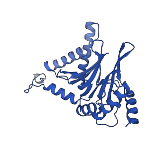 29765_8g6f_C_v1-1
Structure of the Plasmodium falciparum 20S proteasome beta-6 A117D mutant complexed with inhibitor WLW-vs