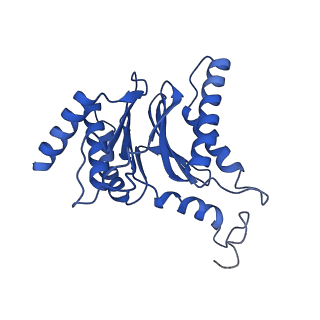 29765_8g6f_F_v1-1
Structure of the Plasmodium falciparum 20S proteasome beta-6 A117D mutant complexed with inhibitor WLW-vs