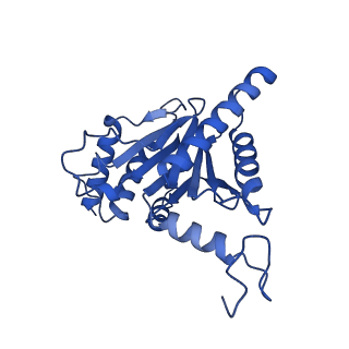 29765_8g6f_G_v1-1
Structure of the Plasmodium falciparum 20S proteasome beta-6 A117D mutant complexed with inhibitor WLW-vs
